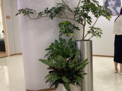 -AIST爱思特医疗美容医院