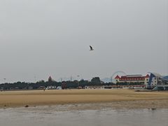 -日照海滨国家森林公园