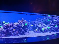 -成都浩海立方海洋公园