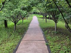 -昆山城市生态森林公园