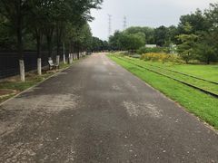 -永定河休闲森林公园