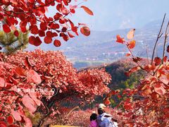-水峪民俗村