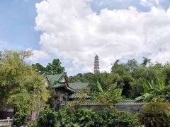 -榴花公园
