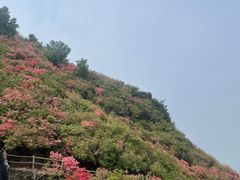 -木兰云雾山