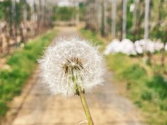 -亲兄弟真人CS团建拓展基地