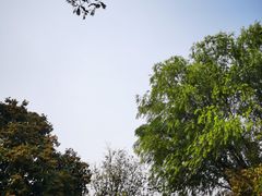 -武昌江滩