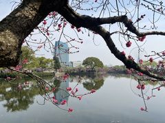 -无锡蠡湖国家湿地公园-蠡园