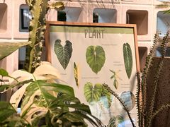 -自由生长植物工作室(深港花卉中心店)
