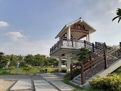 -王借岗森林公园