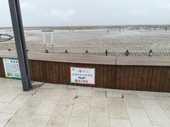 -刘家湾赶海园