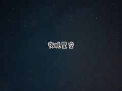 -武陵山森林公园