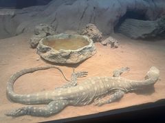 -费瑟代尔野生动物园