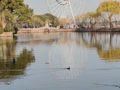 -无锡蠡湖国家湿地公园-蠡园