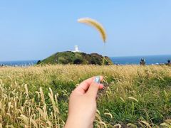 -涉地可支