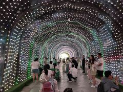 -栾川竹海野生动物园