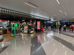 -约翰·菲茨杰拉德·肯尼迪国际机场