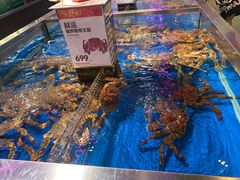-盒马X会员店(王府井奥莱UP TOWN店)