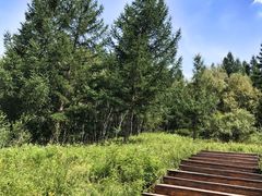 -塞罕坝国家级自然保护区