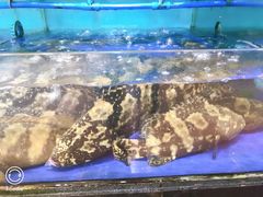 -南海渔家•海鲜•正宗海南菜(海棠湾店)
