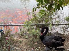-春晖园度假酒店温泉