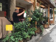 -杭州西湖风景名胜区-满觉陇四眼井