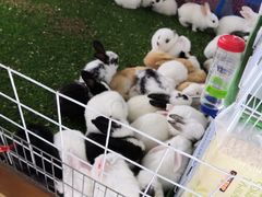 -长春农博园