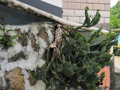 -会稽山峡洞漂流-上青古道