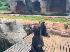 -海南热带野生动植物园