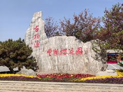 -古柏渡丰乐樱花园