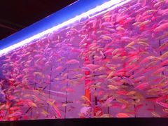 -西宁市人民公园(城西区)