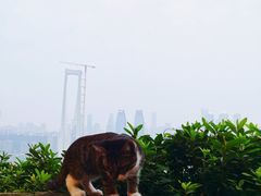 -山城巷传统风貌区