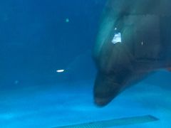 -华夏文旅西安度假区