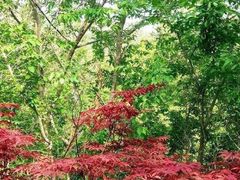 -南山健身公园