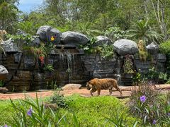 -海南热带野生动植物园