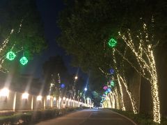 -横店影视城梦幻谷园区