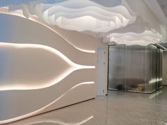 -小仙女采耳·按摩·SPA(深圳旗舰店)