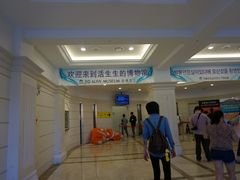 -爱来魔相4D艺术馆(济州中文馆)