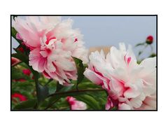 -中国药科大学（江宁校区）-图书馆