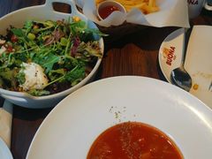 -百好乐宠物友好餐厅(朝外大街店)