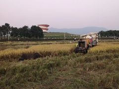 -光明小镇欢乐田园