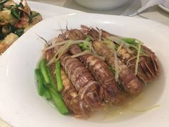 盐水濑尿虾-万山楼海鲜酒家·二十三年老字号