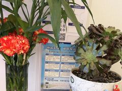 -丽泽山庄·生态怀柔菜·虹鳟鱼(红螺寺店)