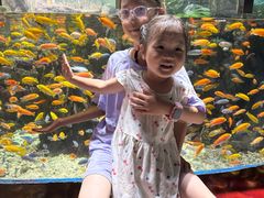 -太平洋海底世界