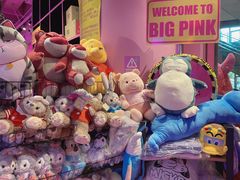 -BIG PINK大粉娃娃机主题馆(圆融星座店)