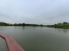 -东郊湿地公园