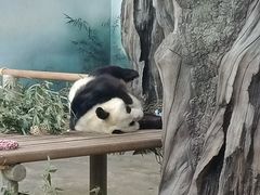 -苏州太湖国家湿地公园