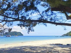 -东姑阿都拉曼海洋公园