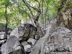 -北京上方山国家森林公园