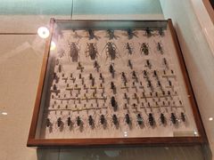 -哈尔滨师范大学(松北校区)