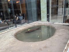 -廊坊固安福朋喜来登酒店